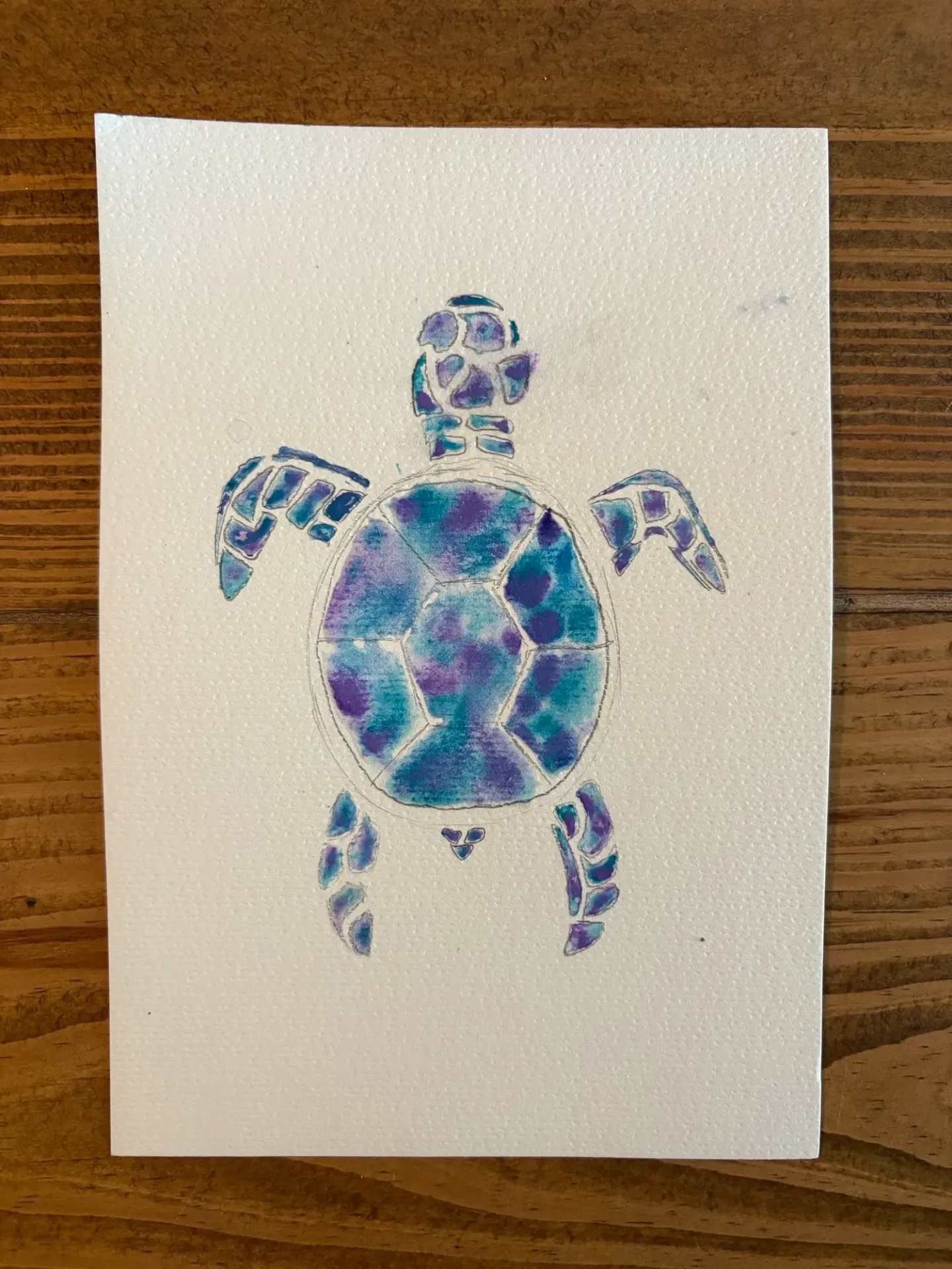Turtle